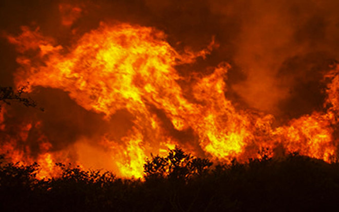 Phòng cháy chữa cháy rừng là thử thách cần sự chung tay của các cấp chính quyền và người dân 